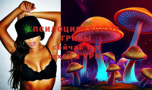 эйфоретик Рославль