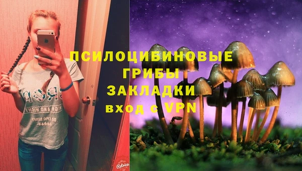 таблы Россошь