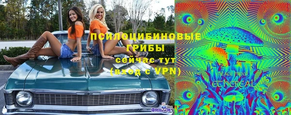 эйфоретик Рославль