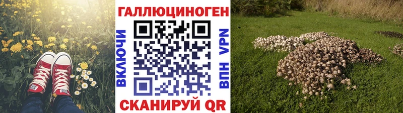 Псилоцибиновые грибы Cubensis  Сосенский 